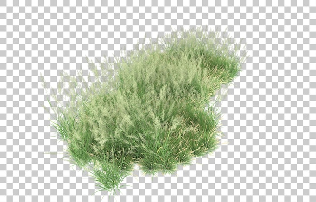 PSD grass on transparent background. 3d rendering - illustration