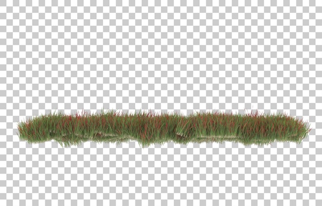 PSD grass on transparent background. 3d rendering - illustration