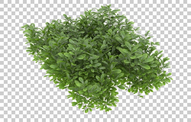 Трава на прозрачном фоне. 3D-рендеринг - иллюстрация