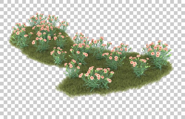 Grass on transparent background. 3d rendering - illustration