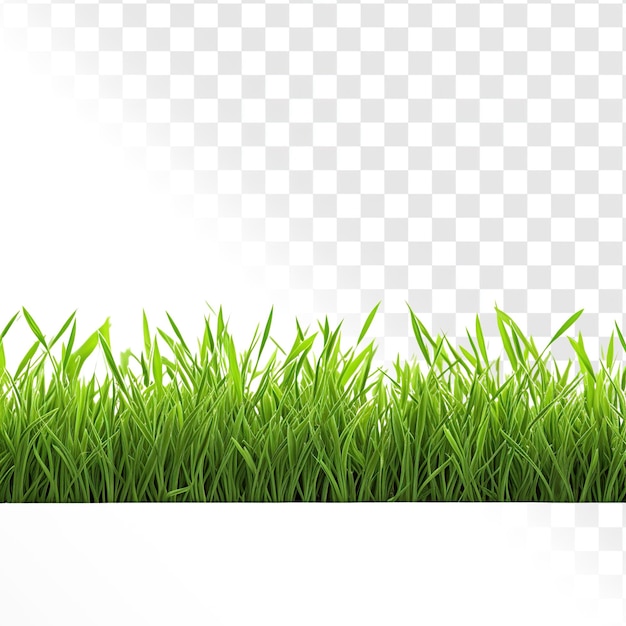 PSD grass on a transparent background