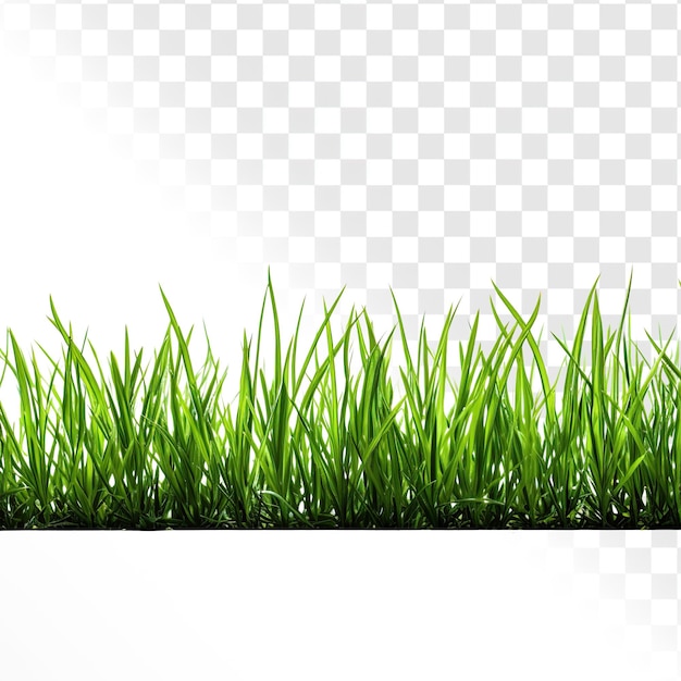 PSD grass on a transparent background