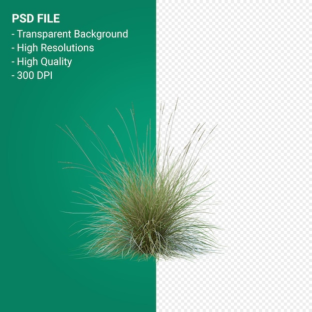 PSD grass tree 3d render isolated on transparent background