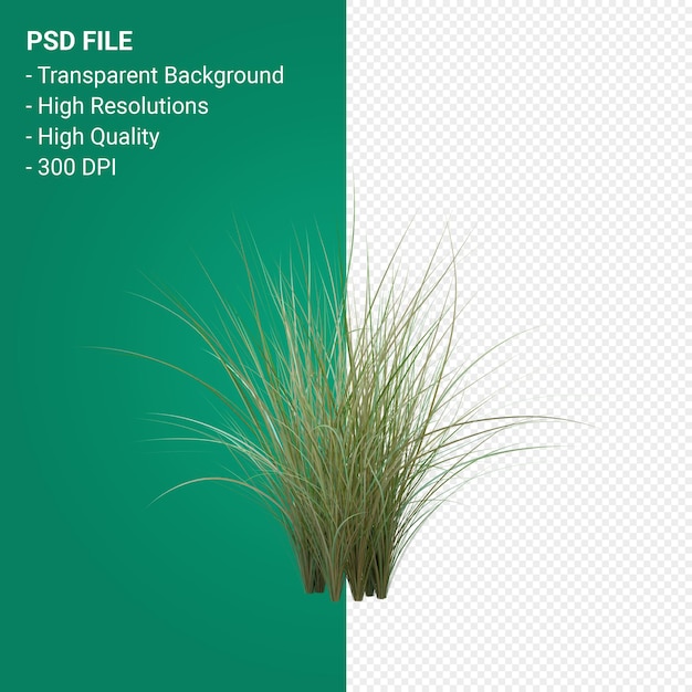 Grass tree 3d render isolated