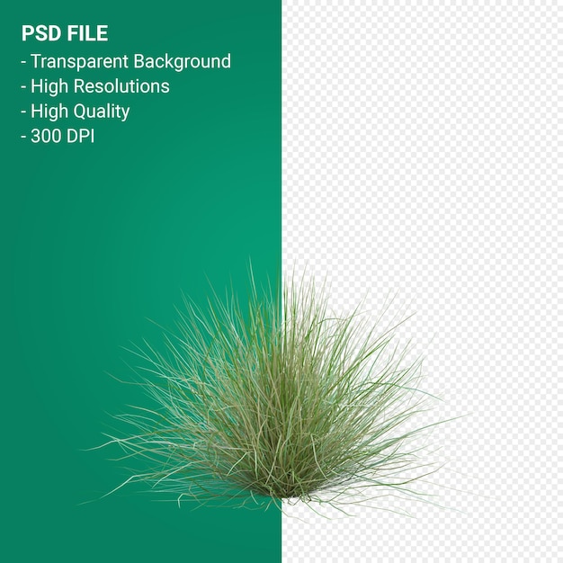 Grass tree 3d render isolated