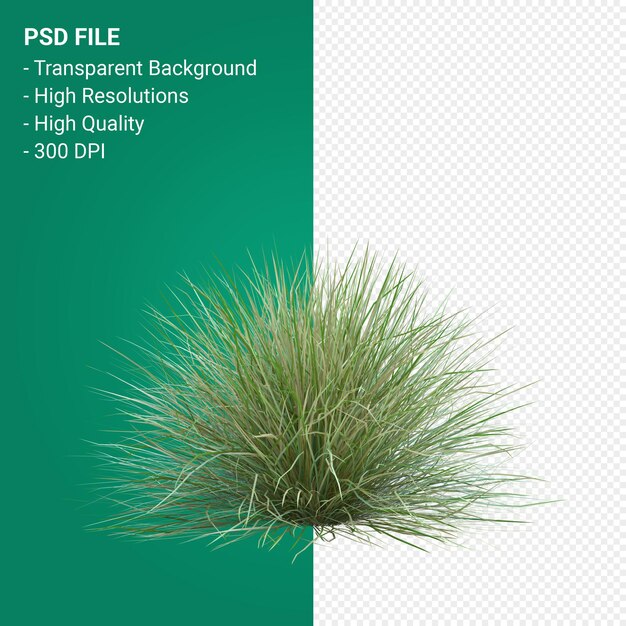 PSD grass tree 3d render isolated