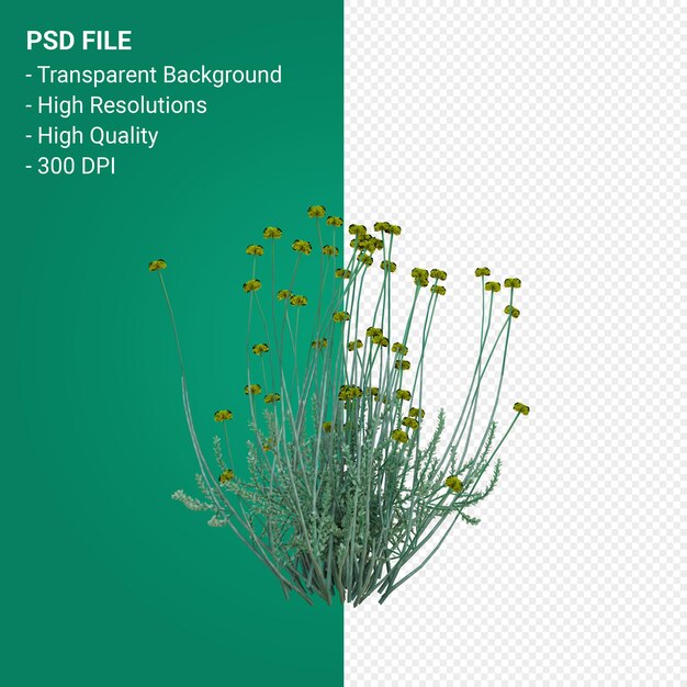 PSD grass tree 3d render isolated