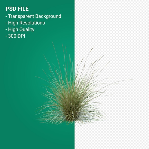 Grass tree 3d render isolated