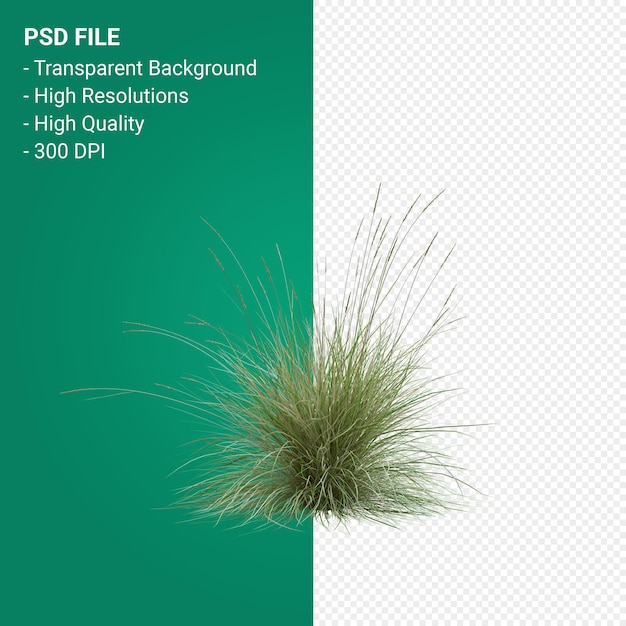 PSD grass tree 3d render isolated