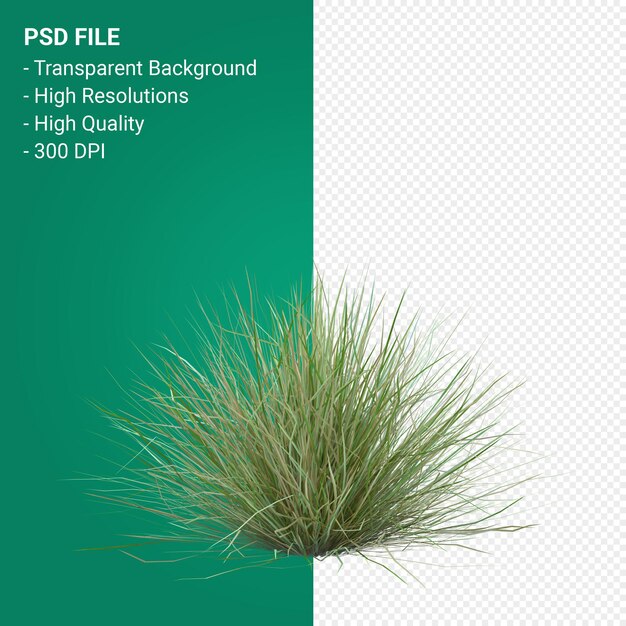 PSD grass tree 3d render isolated