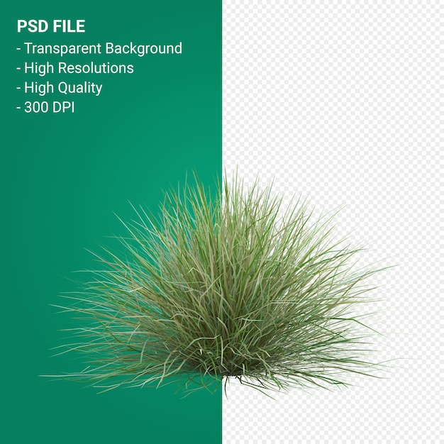 PSD grass tree 3d render isolated