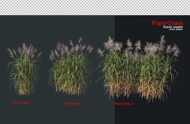 PSD grass and a wide variety of plants