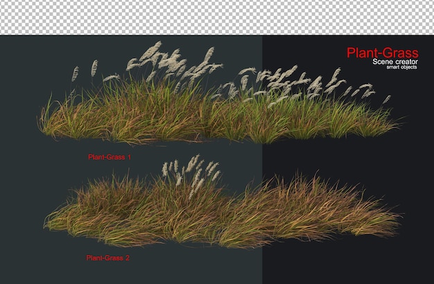 PSD grass and a wide variety of plants