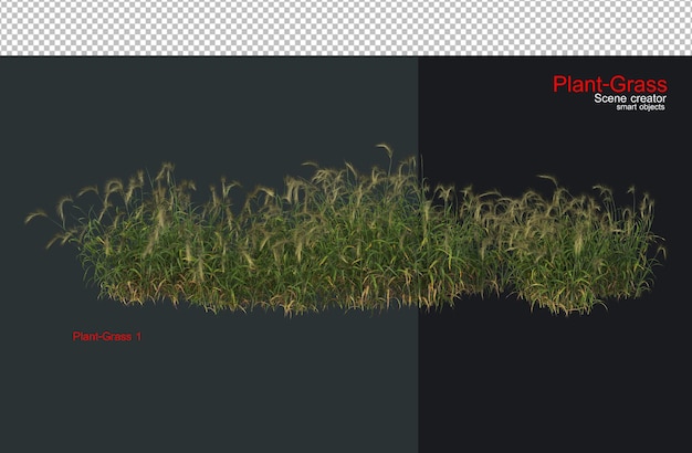 PSD grass and a wide variety of plants