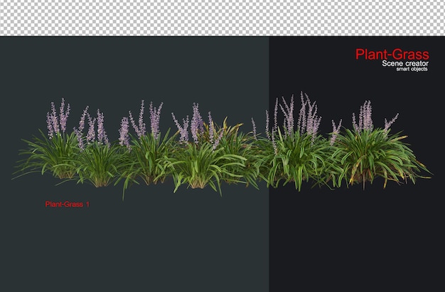 PSD grass and a wide variety of plants