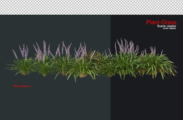 PSD grass and a wide variety of plants