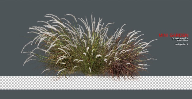 Grass with colorful flowers on transparent background