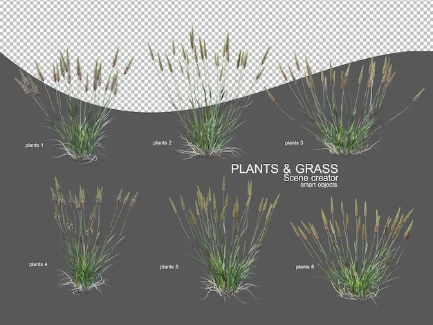 PSD grasses of various sizes and types