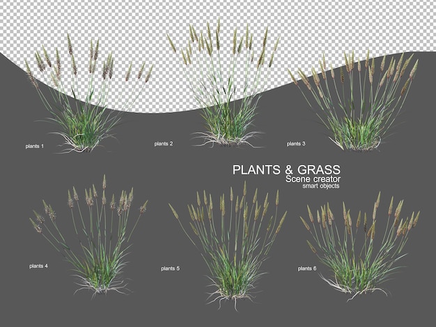 PSD grasses of various sizes and types