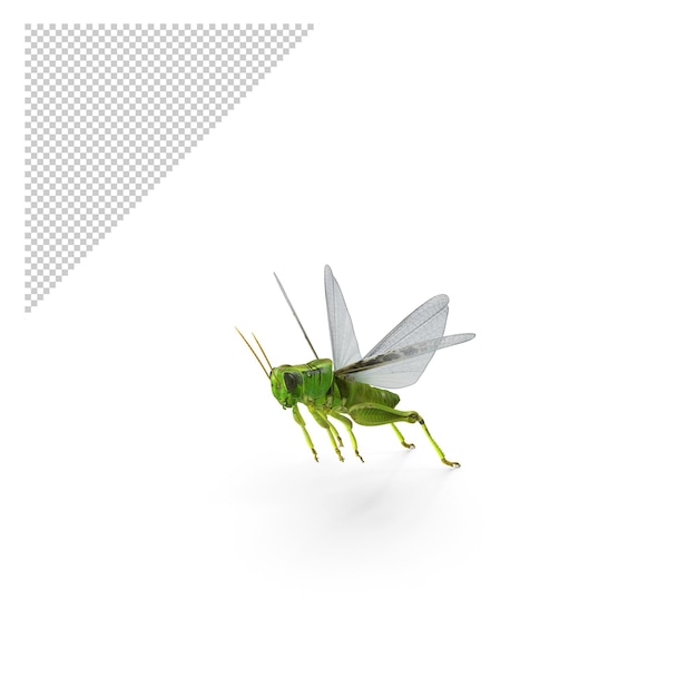 PSD grasshopper flying pose