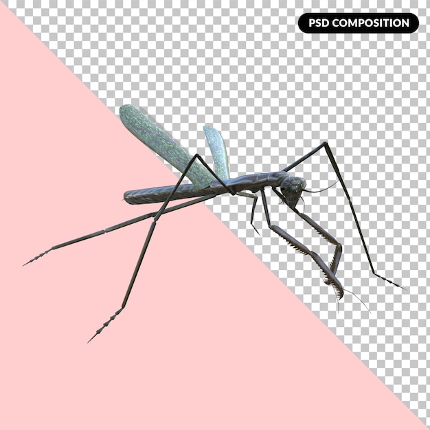 PSD grasshopper isolated 3d rendering