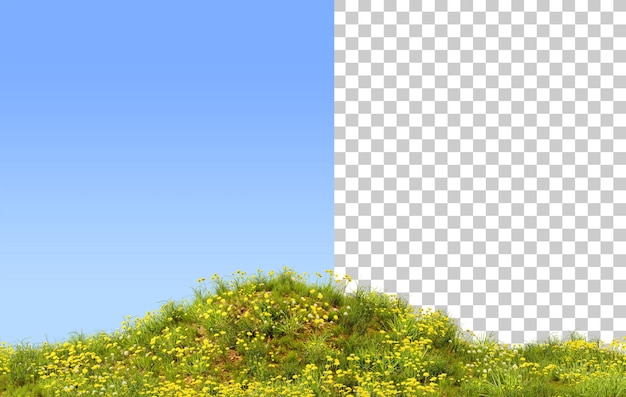 PSD Травяное зеленое поле с одуванчиками 3d визуализация зеленый луг холм с желтыми цветами