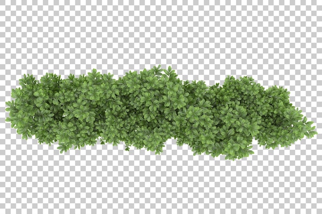 Grasveld met transparante achtergrond 3d-rendering illustratie