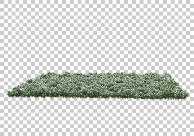 Grasveld met transparante achtergrond 3d-rendering illustratie