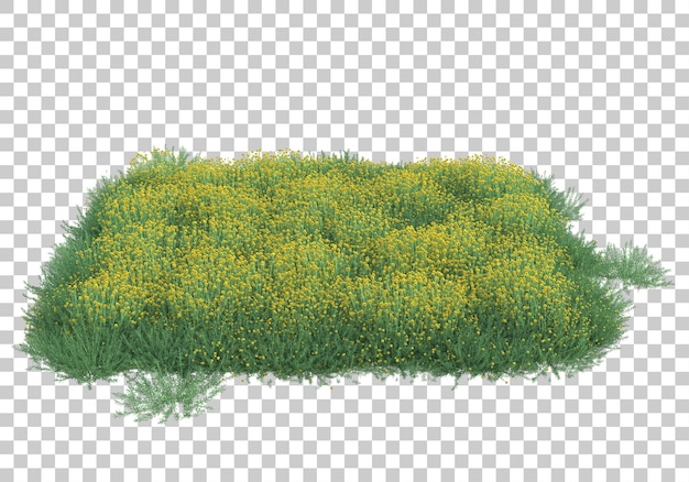 Grasveld op transparante achtergrond 3d-rendering illustratie