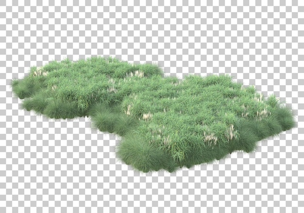 Grasveld op transparante achtergrond 3d-rendering illustratie