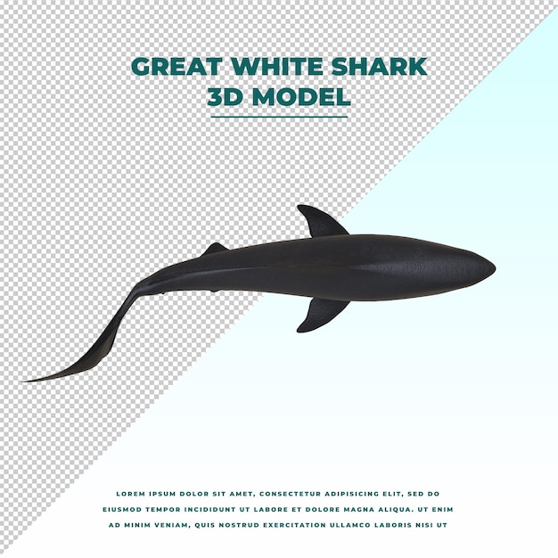 PSD great white shark