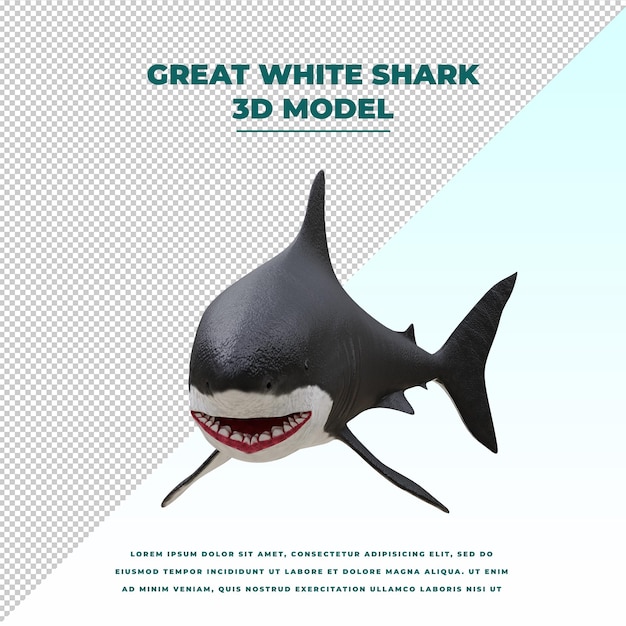 Great white shark