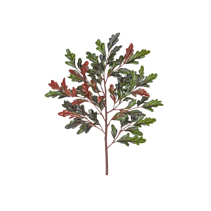 PSD green and red oak leaves branch