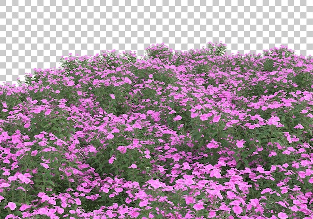 พื้นที่สีเขียวที่มีดอกไม้บนพื้นหลังโปร่งใส ภาพเรนเดอร์ 3 มิติ