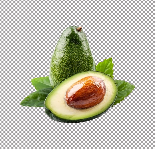 Green avocado fruits with leaves