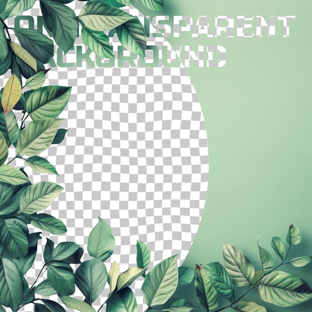 PSD a green background with a circle of green leaves and a circle with the word  real  on it