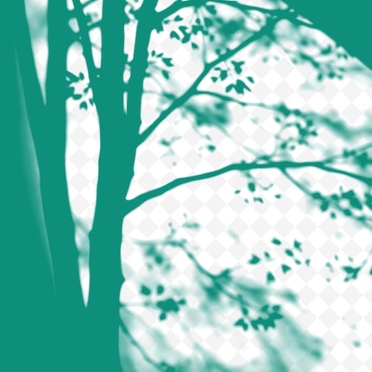 PSD a green background with a tree in the foreground and the sun shining through the branches