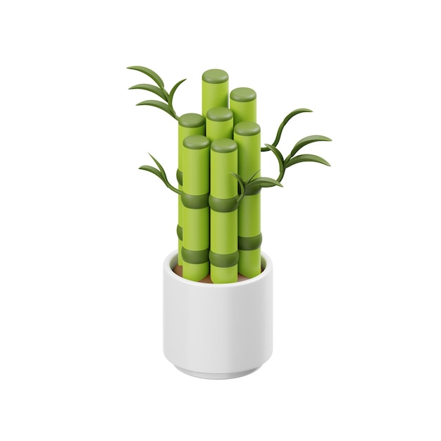 PSD una pianta di bambù verde in un vaso bianco con steli e foglie verdi.
