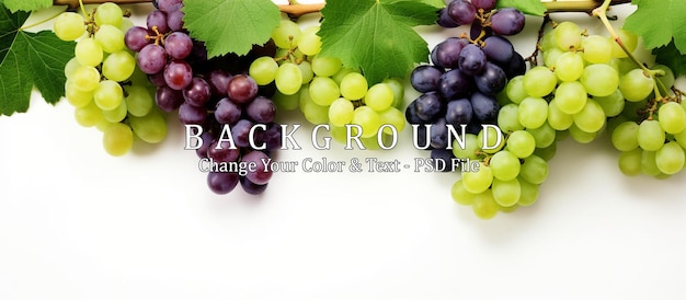 PSD green and black juicy grapes on white background