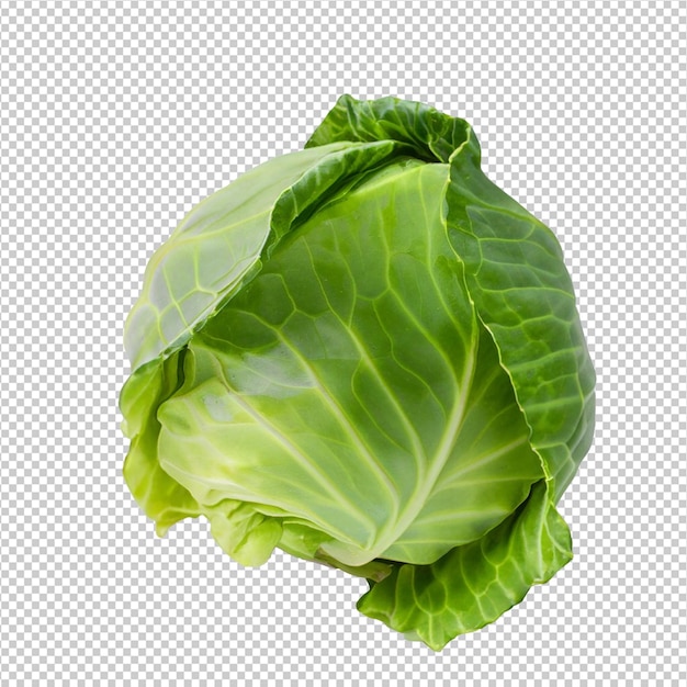 Green Cabbage On On Alpha Layer