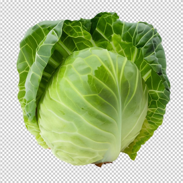 PSD green cabbage on on alpha layer