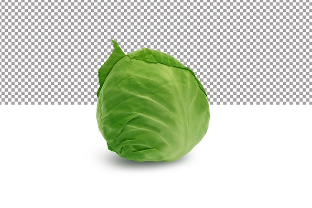 A green cabbage on a white background with a shadow