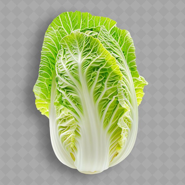 PSD a green cabbage with a white head on a gray background