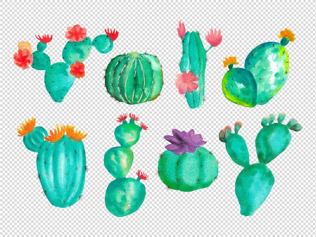 PSD green cactus hand painting isolated elements gouache illustration collection