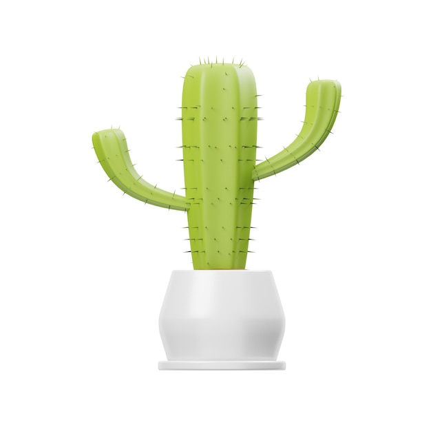 A green cactus in a white pot with a white background.