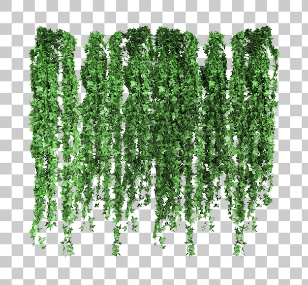 Creepers png images