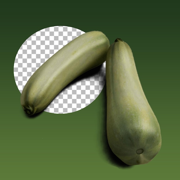 食用青茄子プロジェクト