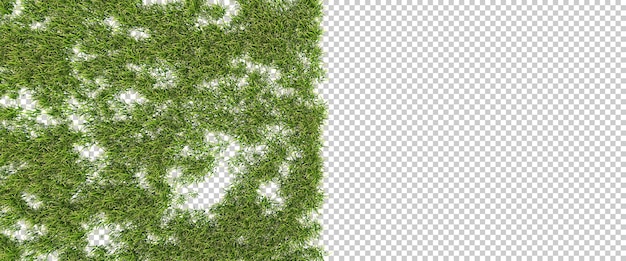 透明な背景に花と草の緑のフィールド3dレンダリングイラスト