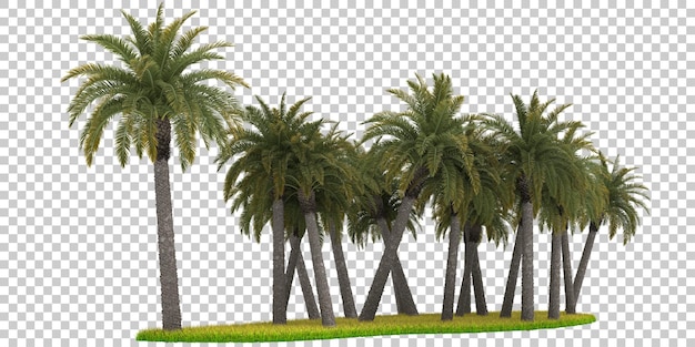 Campo verde di erba con fiori su sfondo trasparente 3d rendering illustrazione