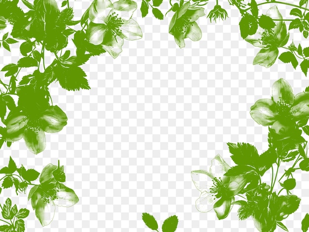 PSD green flowers on a transparent background